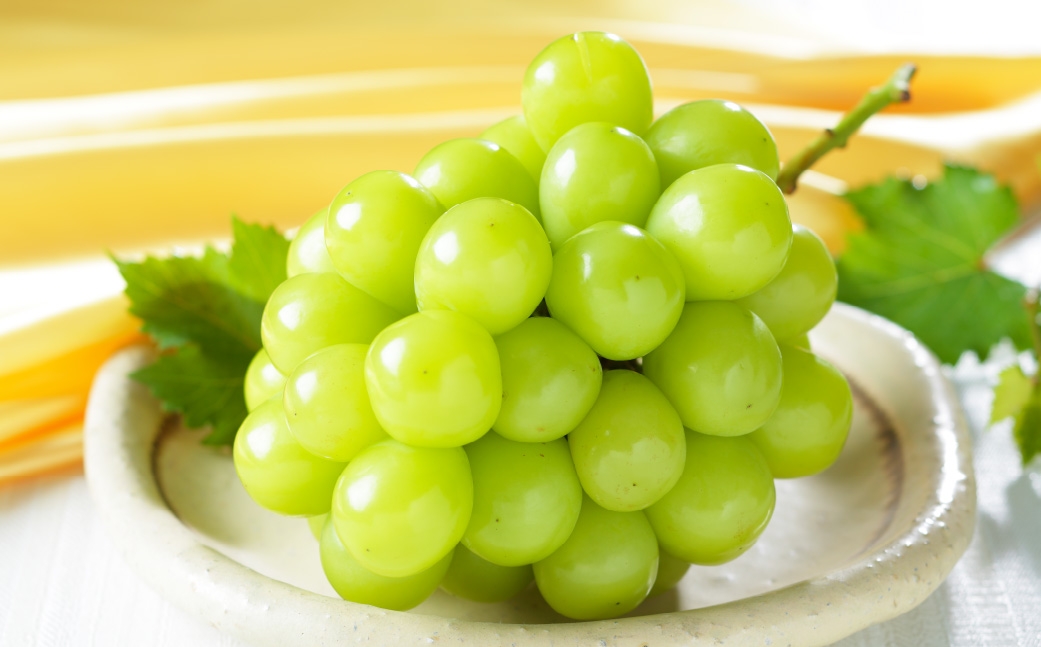 岡山çç£ ã·ã£ã€ã³ãã¹ã«ãã æŽç çŽ600g ïŒ 600gÃ1æ¿ ïŒ ã¶ã©ã ãã㊠è¡è ãã¹ã«ãã æç© ãã ãã® ãã«ãŒã åœç£ ã 2026幎8æäžæ¬ïœ11æäžæ¬çºéäºå® ã