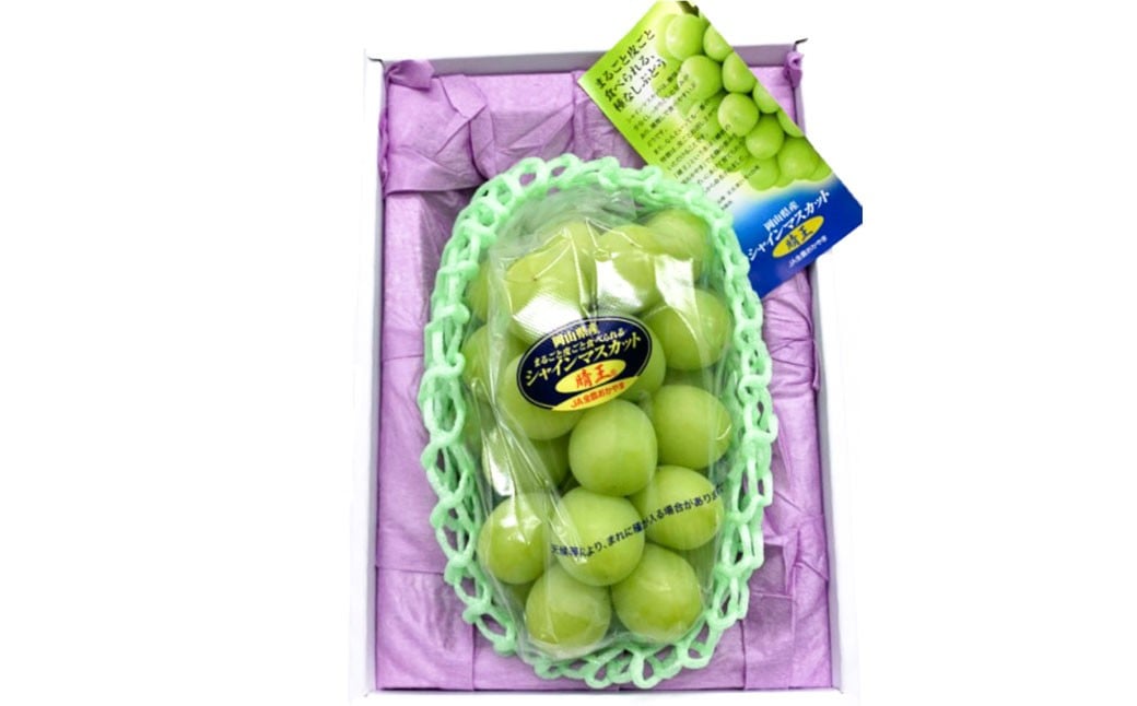 ã·ã£ã€ã³ãã¹ã«ãã æŽç 2æ¿ ïŒ1æ¿480g以äžïŒ åç²§ç®±å
¥ã ã2026幎8æäžæ¬ïœ11æäžæ¬è¿çºéäºå®ãïŒ ãã¹ã«ãã è¡è ã¶ã©ã æç© æå® ãã«ãŒã çš®ãªã ç®ããš å€§ç² å²¡å±±ç çŸå²çº å·èµ