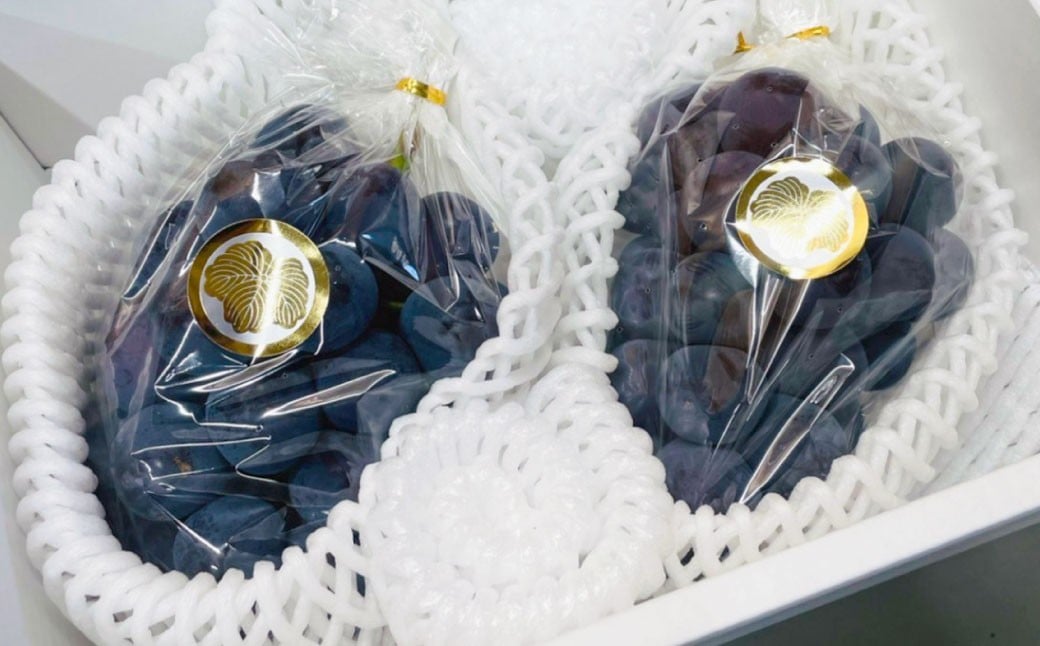 【先行予約】 岡山県産 ニューピオーネ 2kg 1箱 ／ ぶどう ブドウ フルーツ 【2025年8月下旬-9月下旬発送予定】