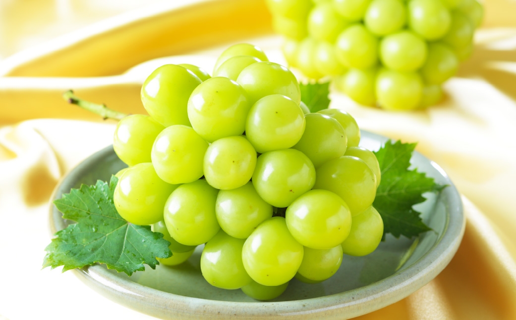 岡山県産 シャインマスカット 「 晴王 」 と ニューピオーネ Lサイズ 計約800g ぶどう ブドウ 葡萄 くだもの 果物 果実 フルーツ 国産 マスカット 【 2026年8月下旬～9月下旬発送予定 】