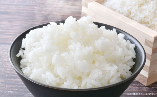 【 令和7年産 】 岡山県産 コシヒカリ 10kg （ 5kg × 2袋 ） お米 米 こめ 白米 白飯 飯 ご飯 おにぎり ブランド米 ブランド 国産 コメ