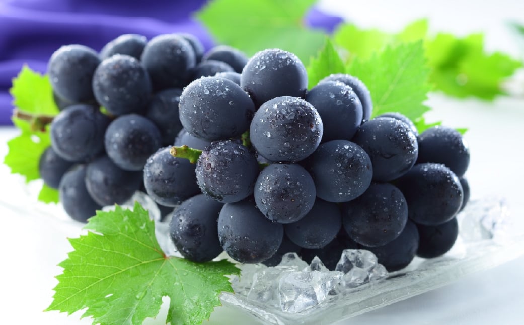 岡山県産 岡山白桃 ロイヤル 2Lサイズ 約250g×2玉・ ニューピオーネ 約500g×1房 詰合せ ぶどう ブドウ 葡萄 くだもの 果物 果実 フルーツ 国産 白桃 モモ もも 桃 家庭用 ギフト 贈り物 贈答 【 2026年7月上旬～8月下旬発送予定 】