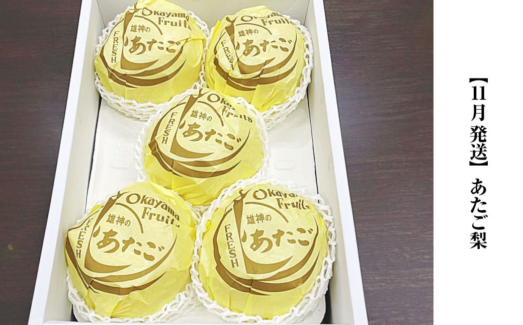 【3回定期便】岡山県産 フルーツ定期便コース （ニューピオーネ ・ 晴王 ・ あたご梨） 【2025年9月上旬発送開始】 ／ 3回 葡萄 ぶどう シャインマスカット マスカット 梨 なし 果物 果実 フルーツ 旬 定期便 岡山県 美咲町 冷蔵 常温