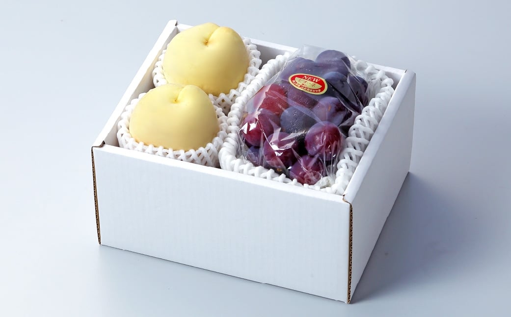 岡山県産 岡山白桃 エース Lサイズ 約200g×2玉・ ニューピオーネ 約400g×1房 詰合せ ぶどう ブドウ 葡萄 くだもの 果物 果実 フルーツ 国産 白桃 モモ もも 桃 家庭用 ギフト 贈り物 贈答 【 2026年7月上旬～8月下旬発送予定 】