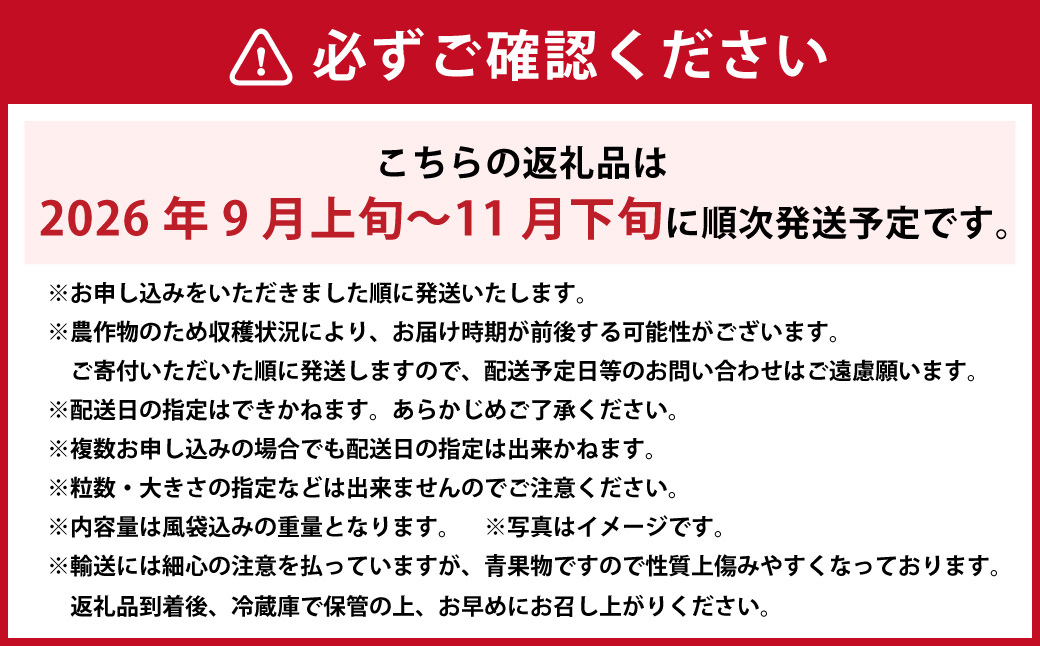 ã岡山çç£ã ã·ã£ã€ã³ãã¹ã«ãã çŽ600g ã2026幎9æäžæ¬ã11æäžæ¬çºéäºå®ã ïŒ ã¶ã©ã ãã㊠è¡è ãã¹ã«ãã çš®ãªã çš®ç¡ã ãã«ãŒã æç© ãã ãã® æå®