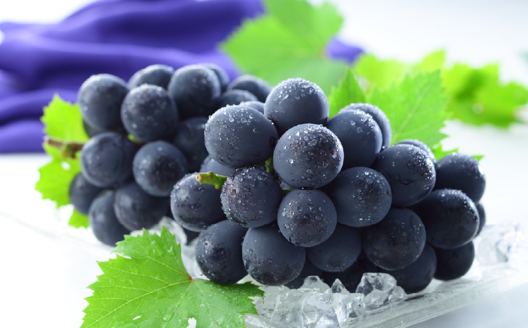 岡山県産 シャインマスカット 「 晴王 」 と ニューピオーネ 2Lサイズ 計約1kg ぶどう ブドウ 葡萄 くだもの 果物 果実 フルーツ 国産 マスカット 【 2026年8月下旬～9月下旬発送予定 】