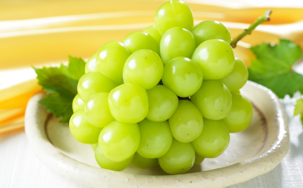 ご家庭用 岡山県産 シャインマスカット 晴王 約600g （ 600g×1房 ） ぶどう ブドウ 葡萄 マスカット 果物 くだもの フルーツ 国産 【 2026年8月下旬～11月下旬発送予定 】