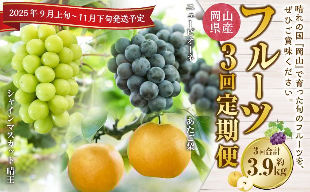 【3回定期便】岡山県産 フルーツ定期便コース （ニューピオーネ ・ 晴王 ・ あたご梨） 【2025年9月上旬発送開始】 ／ 3回 葡萄 ぶどう シャインマスカット マスカット 梨 なし 果物 果実 フルーツ 旬 定期便 岡山県 美咲町 冷蔵 常温