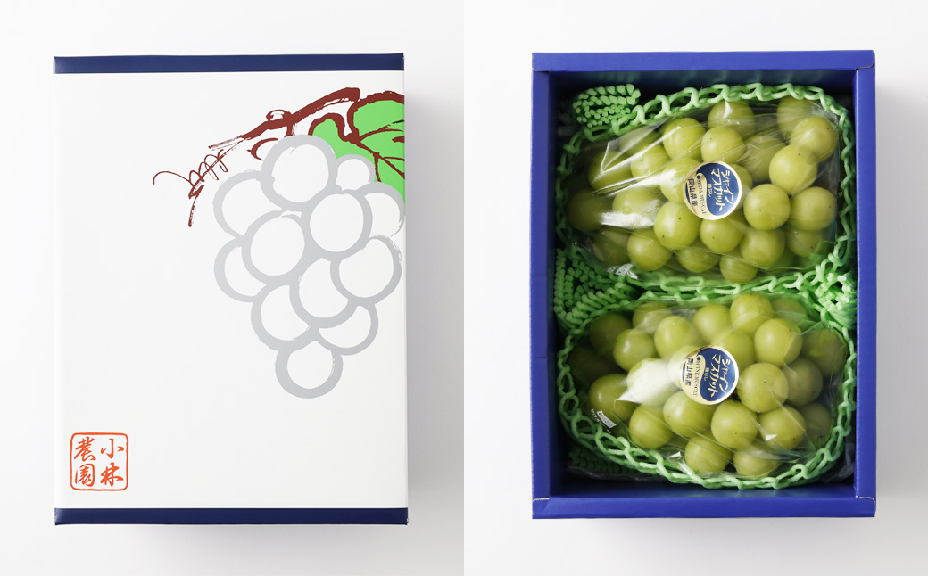 シャインマスカット 約1.3kg以上（2房） 【2026年10月下旬-11月下旬発送予定】 シャイン マスカット ぶどう 葡萄 ブドウ 果物 くだもの フルーツ ギフト お取り寄せ 国産