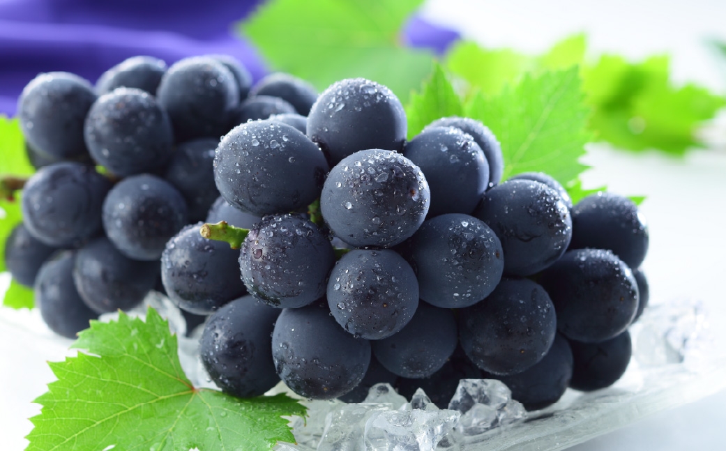 岡山çç£ ãã¥ãŒããªãŒã çŽ1.2kg ïŒ 600gÃ2æ¿ ïŒ ã¶ã©ã ãã㊠è¡è çš®ãªã çš®ç¡ã ãã ãã® æç© æå® ãã«ãŒã åœç£ ã 2026幎8æäžæ¬ïœ9æäžæ¬çºéäºå® ã