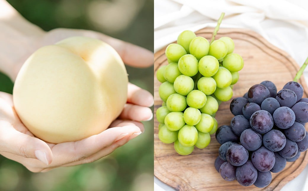 岡山白桃 （2～３玉） ＆ シャインマスカット ＆ 黒系ぶどう （1.5kg以上） の詰め合わせ 【2026年8月上旬から8月下旬頃発送予定】 ／ くだもの 果物 果実 フルーツ 桃 もも モモ ピーチ 白桃 ブドウ ぶどう 葡萄 マスカット 冷蔵 岡山県 美咲町