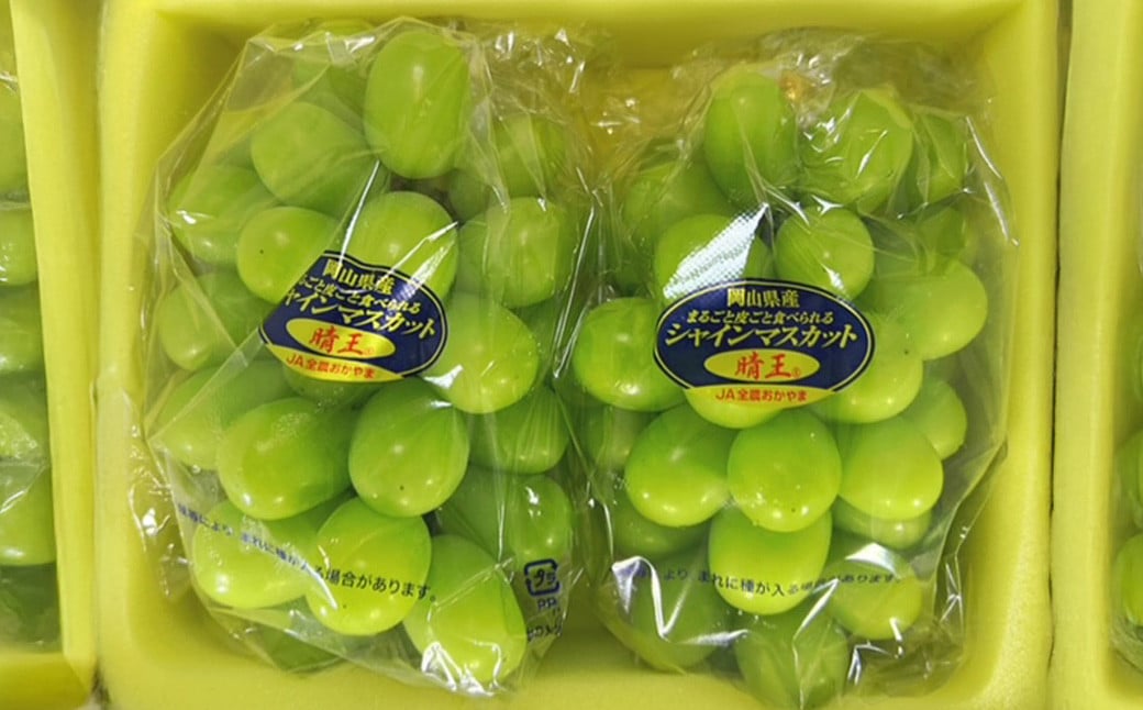 【3回定期便】岡山県産 シャインマスカット 晴王 計2房 （1房600g以上） 【2026年8月下旬発送開始】 ／ 3回 マスカット 葡萄 ぶどう 果物 果実 フルーツ 定期便 岡山県 美咲町 冷蔵