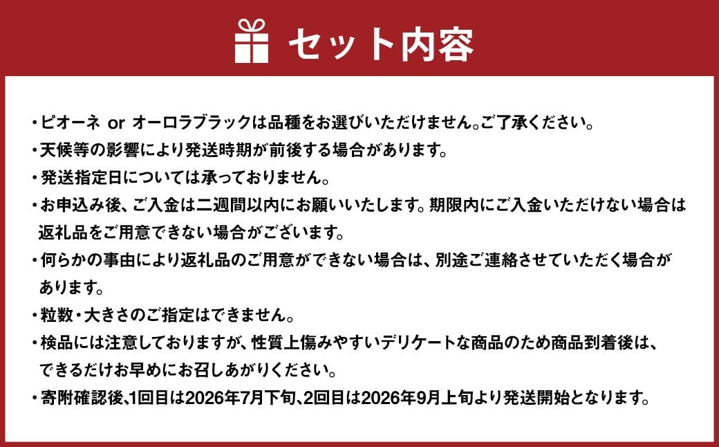 【2回定期便】 ピオーネ or オーロラブラック  3～5房 （2kg以上） ＆ シャインマスカット 3～5房 （2kg以上） 【2026年7月下旬から順次発送予定】 ／ くだもの 果物 果実 フルーツ ぶどう ブドウ 葡萄 マスカット 冷蔵 岡山県 美咲町