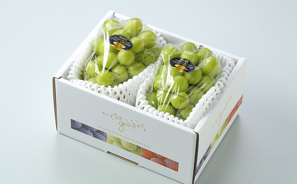 シャインマスカット 晴王 約500g×2房 （計約1kg） 【2026年8月下旬～11月下旬迄発送 ／ マスカット 葡萄 ぶどう 果物 果実 フルーツ 種なし 皮ごと 大粒 岡山県 美咲町 冷蔵