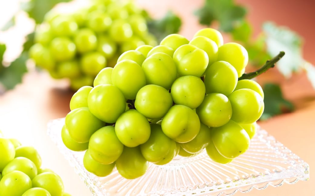 ご家庭用 岡山県産 シャインマスカット 晴王 約1kg （ 500g×2房 ） ぶどう ブドウ 葡萄 マスカット 果物 くだもの フルーツ 国産 【 2026年8月下旬～11月下旬発送予定 】