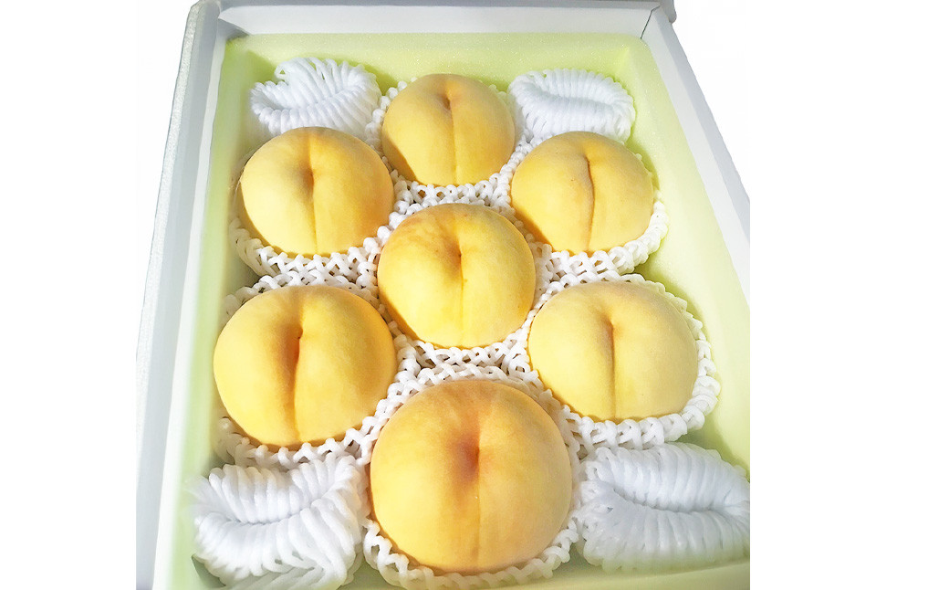 【先行予約】 岡山県産 ・ マンゴーの様な黄色い桃 ・ 黄金桃 1.5kg箱（約4個～6個） 【2025年8月発送予定】 ／ 桃 もも モモ 黄色 おうごんとう 黄金 おうごん トロピカル風味 トロピカル 果物 くだもの フルーツ デザート 冷蔵