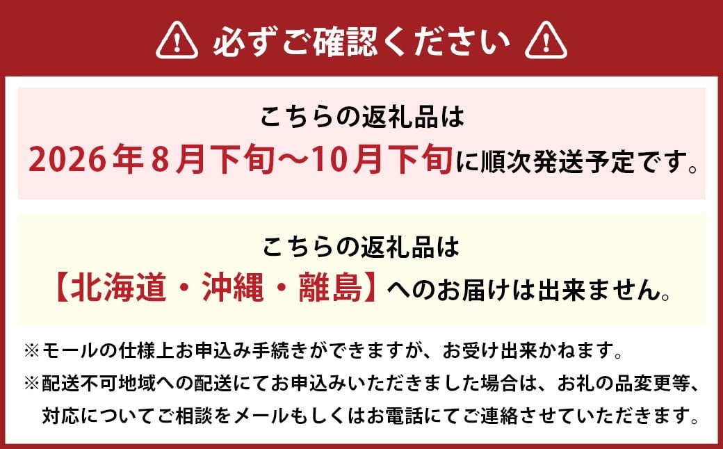 先行予約岡山県産ニューピオーネ 約500g×2房 計約1kg【2026年8月下旬～10月下旬まで順次発送予定】 葡萄 ぶどう ブドウ フルーツ 果物 冷蔵