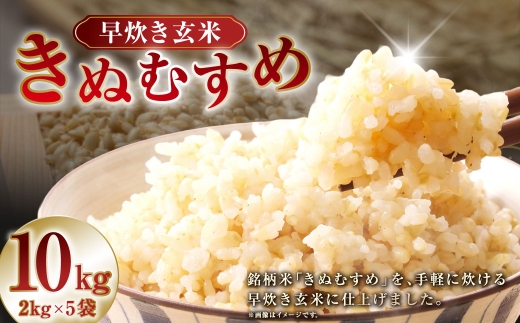 【 令和7年産 】 岡山県産 きぬむすめ 早炊き 玄米 10kg （ 2kg × 5袋 ） お米 米 こめ 白米 白飯 飯 ご飯 おにぎり ブランド米 ブランド 国産 コメ 洗米不要