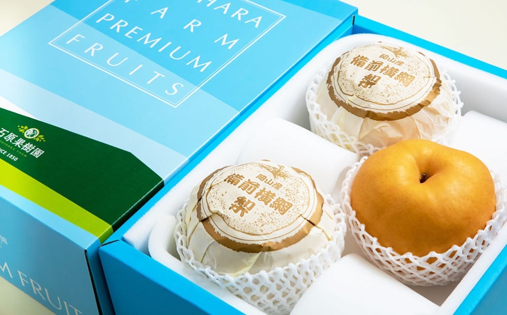 備前横綱梨 （あたご梨） 超大玉 3玉 約1kg〜1.4kg 贈答箱 ／ 愛宕梨 梨 なし ナシ 果物  【2025年11月下旬〜12月下旬発送予定】