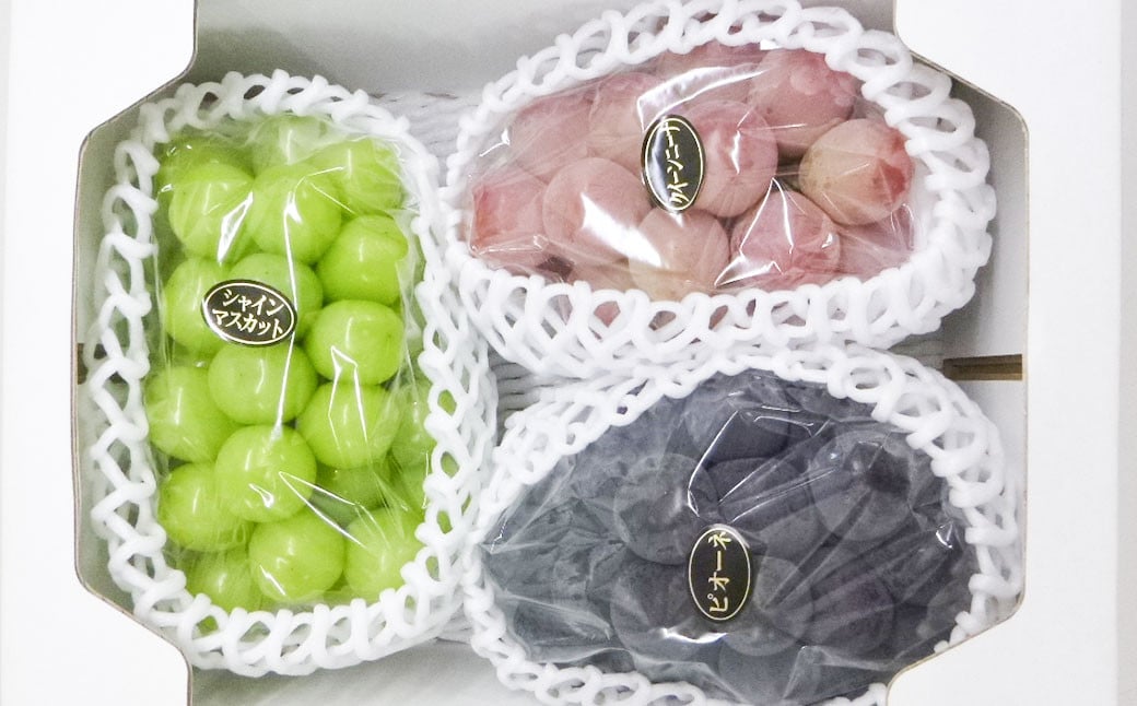 å€§ç² ã¶ã©ã 3çš® ã»ãã 3æ¿ èšçŽ2kg ã·ã£ã€ã³ãã¹ã«ãã ããªãŒã ã¯ã€ãŒã³ããŒã ã2026幎10æäžæ¬ãã12æäžæ¬é è¿çºéäºå®ã ïŒ ãã¹ã«ãã è¡è ãã㊠皮ç¡ã çš®ãªã