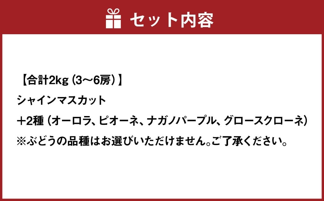 おまかせぶどう 3品種 詰め合わせ 2kg（3～6房） 【2026年8月上旬から8月下旬頃発送予定】 ／ くだもの 果物 果実 フルーツ ブドウ 葡萄 マスカット 冷蔵 岡山県 美咲町