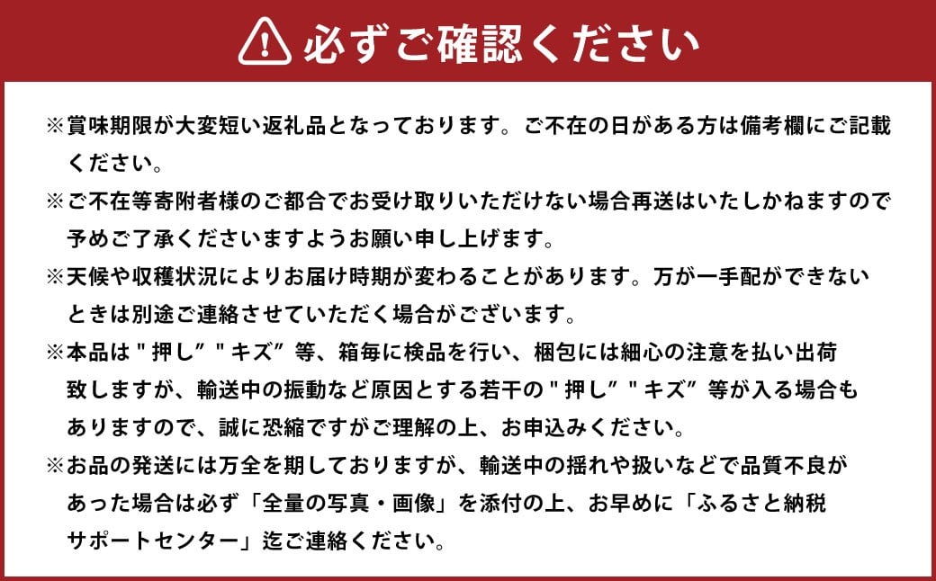 シャインマスカット 晴王 3～6房 計約2kg 【2026年8月下旬～11月下旬迄発送】 ／ マスカット 葡萄 ぶどう 果物 果実 フルーツ 種なし 皮ごと 大粒 岡山県 美咲町 冷蔵