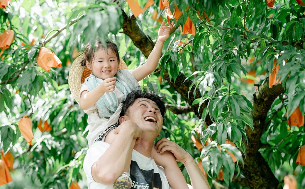 ã2åå®æäŸ¿ã å²¡å±±çœæ¡ ïŒæž
æ°ŽçœorããããŸå€¢çœæ¡ïŒ 5ïœ8ç ïŒ2kg以äžïŒ ïŒ ã·ã£ã€ã³ãã¹ã«ãã 3ïœ5æ¿ ïŒ2kg以äžïŒ ã2026幎7æäžæ¬ããé æ¬¡çºéäºå®ã ïŒ ãã ãã® æç© æå® ãã«ãŒã æ¡ ãã ã¢ã¢ çœæ¡ ããŒã ã¶ã©ã ãã㊠è¡è ãã¹ã«ãã å·èµ 岡山ç çŸå²çº