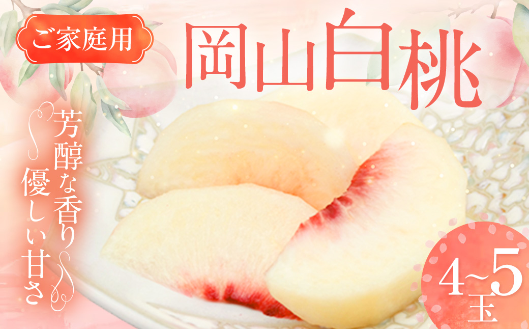 【ご家庭用】 岡山白桃 4~5玉 計約1.2kg 【2026年6月下旬～7月下旬発送予定】 ／ 白桃 桃 もも モモ