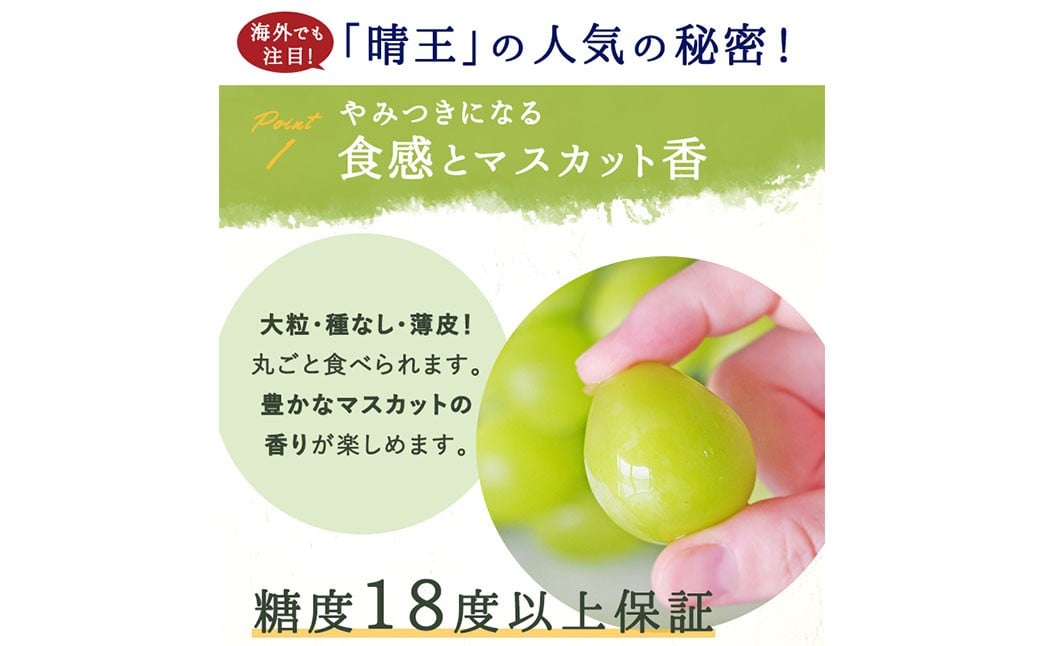 ã·ã£ã€ã³ãã¹ã«ãã æŽç 2æ¿ ïŒ1æ¿480g以äžïŒ åç²§ç®±å
¥ã ã2026幎8æäžæ¬ïœ11æäžæ¬è¿çºéäºå®ãïŒ ãã¹ã«ãã è¡è ã¶ã©ã æç© æå® ãã«ãŒã çš®ãªã ç®ããš å€§ç² å²¡å±±ç çŸå²çº å·èµ