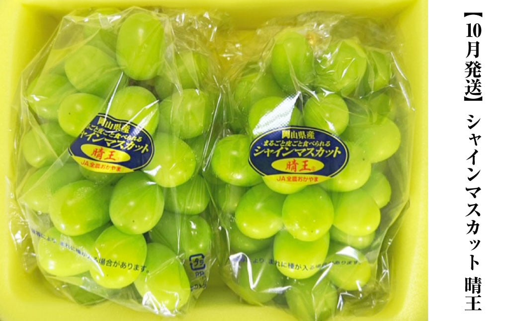 【3回定期便】岡山県産 フルーツ定期便コース （ニューピオーネ ・ 晴王 ・ あたご梨） 【2025年9月上旬発送開始】 ／ 3回 葡萄 ぶどう シャインマスカット マスカット 梨 なし 果物 果実 フルーツ 旬 定期便 岡山県 美咲町 冷蔵 常温