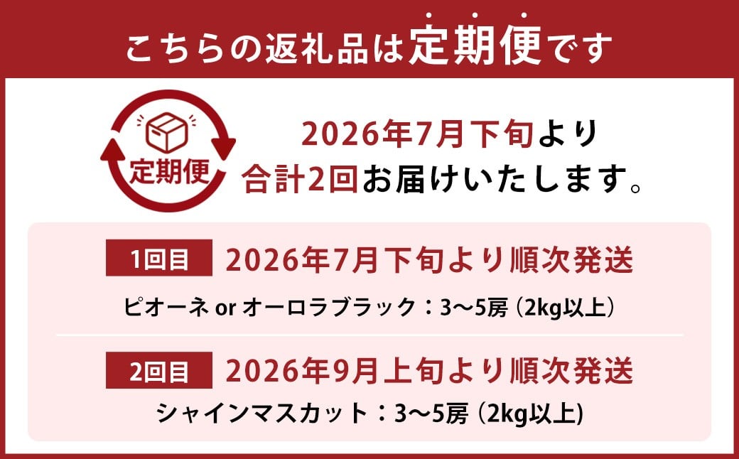 【2回定期便】 ピオーネ or オーロラブラック  3～5房 （2kg以上） ＆ シャインマスカット 3～5房 （2kg以上） 【2026年7月下旬から順次発送予定】 ／ くだもの 果物 果実 フルーツ ぶどう ブドウ 葡萄 マスカット 冷蔵 岡山県 美咲町