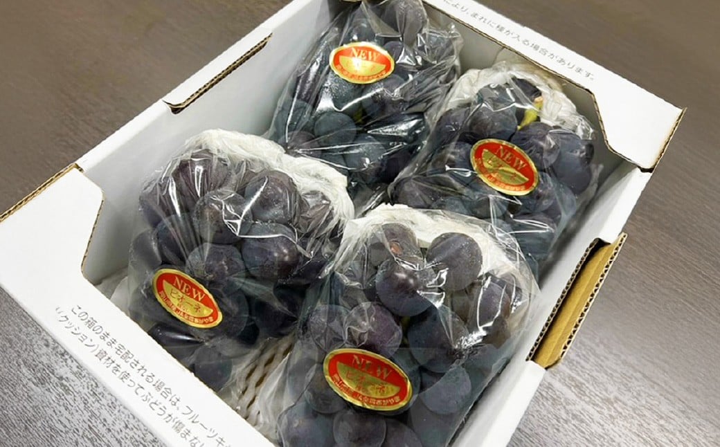 岡山県産 ニューピオーネ 4房 （1房480g以上） 約2kg 【2026年8月下旬-10月上旬迄発送予定】 ／ 葡萄 ぶどう 果物 果実 フルーツ 種なし 岡山県 美咲町 冷蔵