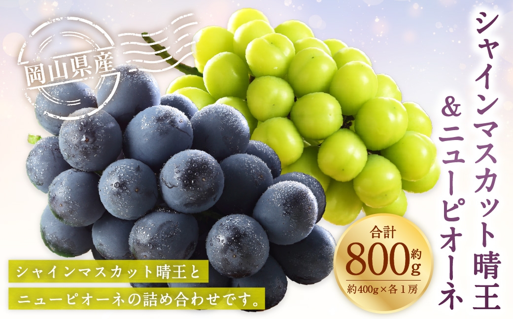 岡山県産 シャインマスカット 晴王 ・ ニューピオーネ Lサイズ  計約800g 詰合せ ぶどう ブドウ 葡萄 くだもの 果物 果実 フルーツ 国産 マスカット 【 2026年6月下旬〜7月下旬発送予定 】
