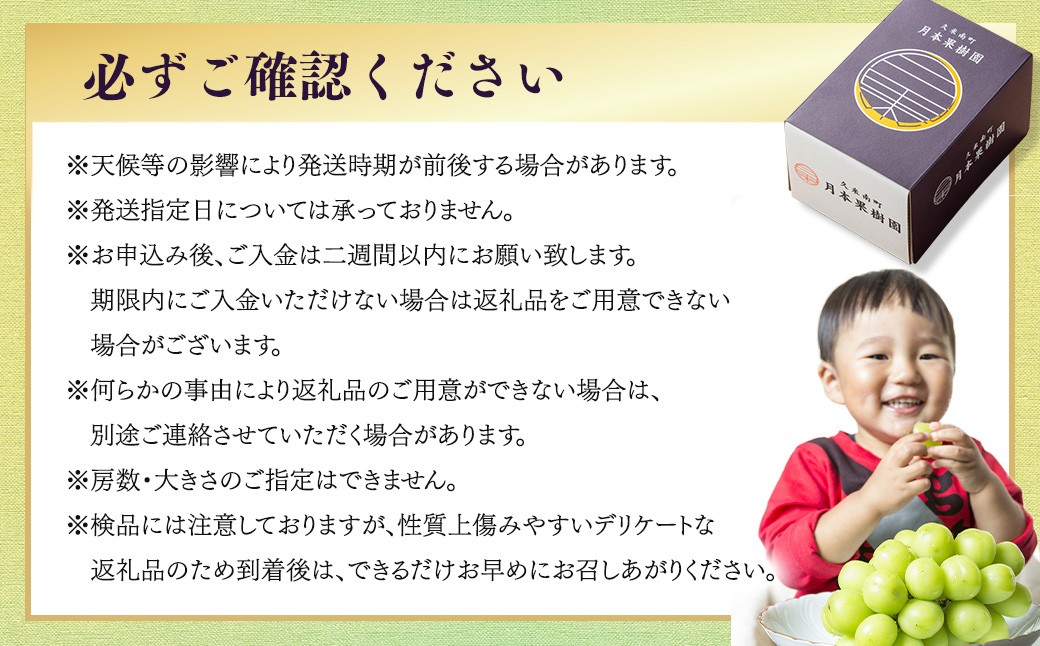【種なし】岡山県産 シャインマスカット 計約1kg箱 2房入り マスカット ぶどう ブドウ 葡萄 フルーツ 種無し【2026年10月上旬-11月下旬発送予定】