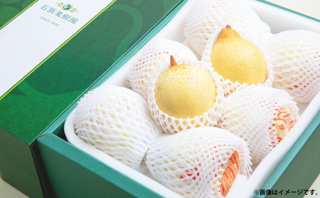 鴨梨 （ヤーリー） 6〜10玉 約4kg 贈答箱 ／ 梨 なし ナシ 果物  【2025年11月下旬〜12月下旬発送予定】