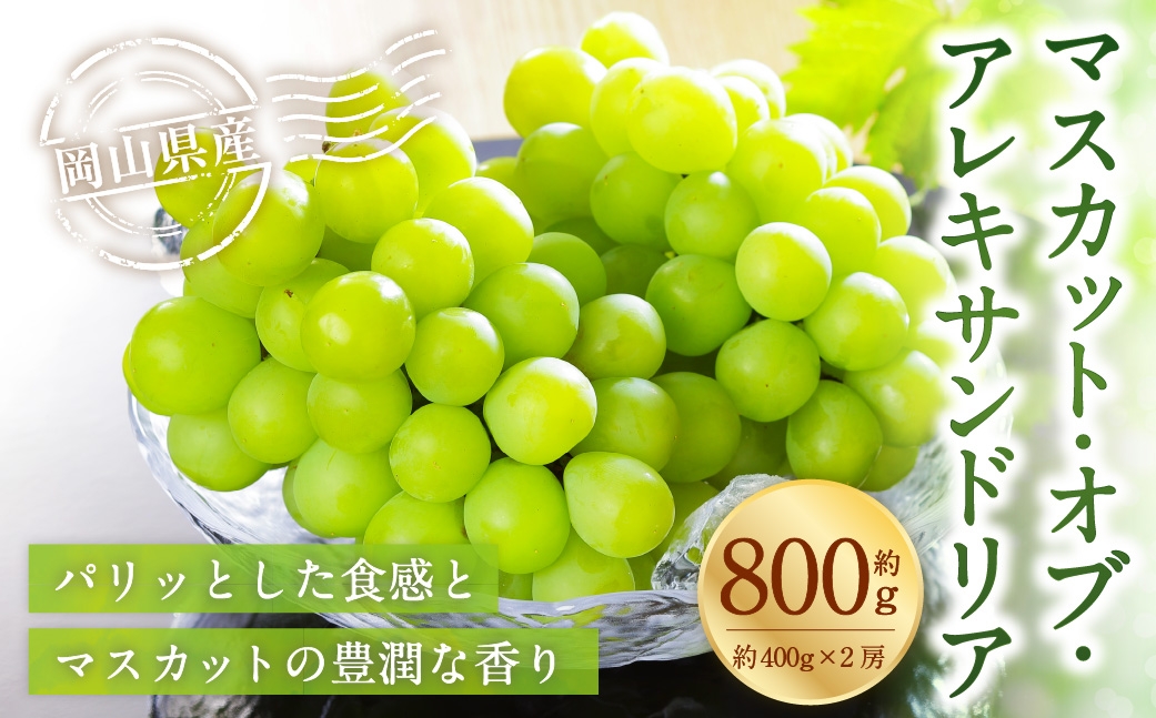 岡山県産 マスカット・オブ・アレキサンドリア 約800g （ 400g×2房 ） ぶどう ブドウ 葡萄 くだもの 果物 果実 フルーツ 国産 マスカット 【 2026年8月下旬～9月下旬発送予定 】