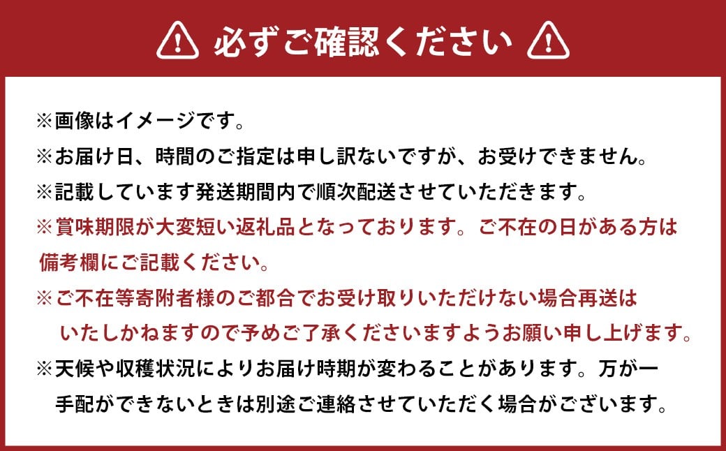 先行予約岡山県産ニューピオーネ 約500g×2房 計約1kg【2026年8月下旬～10月下旬まで順次発送予定】 葡萄 ぶどう ブドウ フルーツ 果物 冷蔵