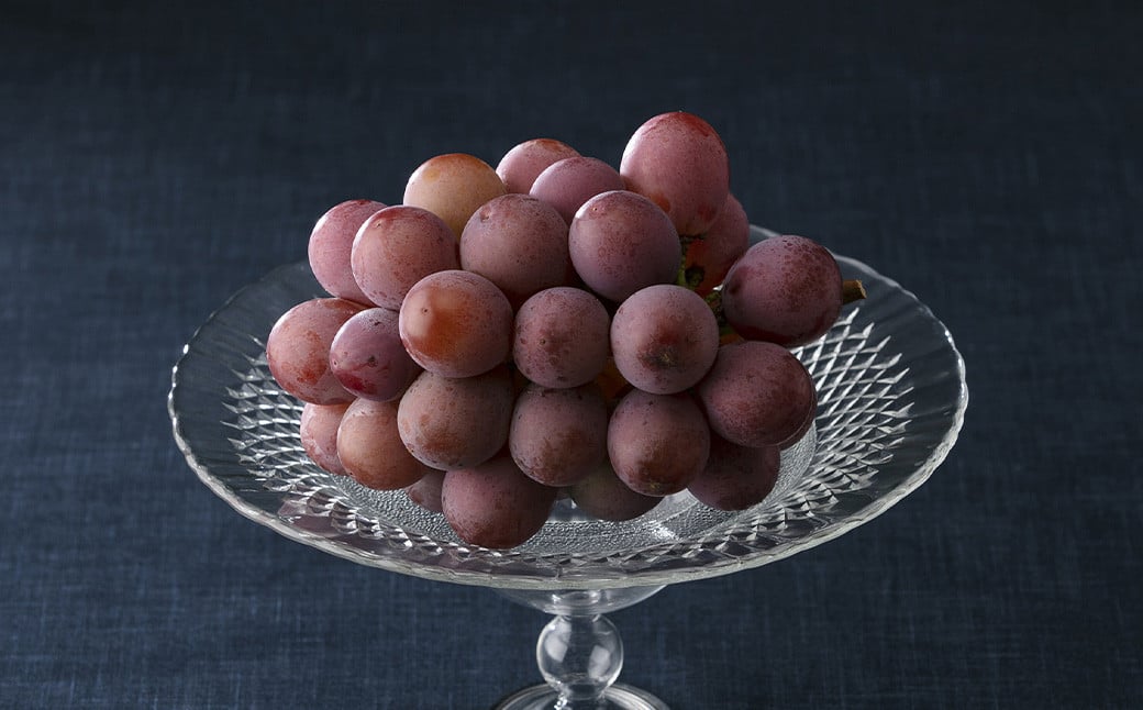 《種なし》 岡山県産 クイーンニーナ 1房（約600g） 【2025年8月下旬～2025年9月下旬発送予定】 ／ ぶどう ブドウ 葡萄 大粒 種なし 種無し フルーツ 果物 くだもの 果実