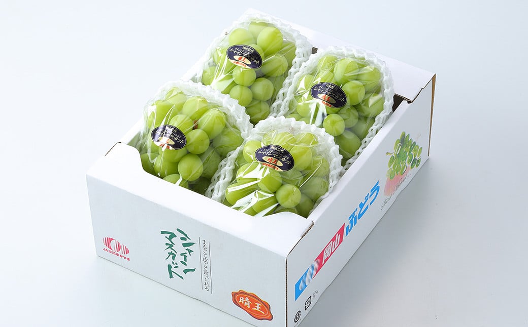 ãå®¶åºçš ã·ã£ã€ã³ãã¹ã«ãã æŽç 3ïœ6æ¿ èšçŽ1.5kg ã2026幎8æäžæ¬ïœ11æäžæ¬è¿çºéã ïŒ ãã¹ã«ãã è¡è ã¶ã©ã æç© æå® ãã«ãŒã çš®ãªã ç®ããš å€§ç² å®¶åºçš 岡山ç çŸå²çº å·èµ