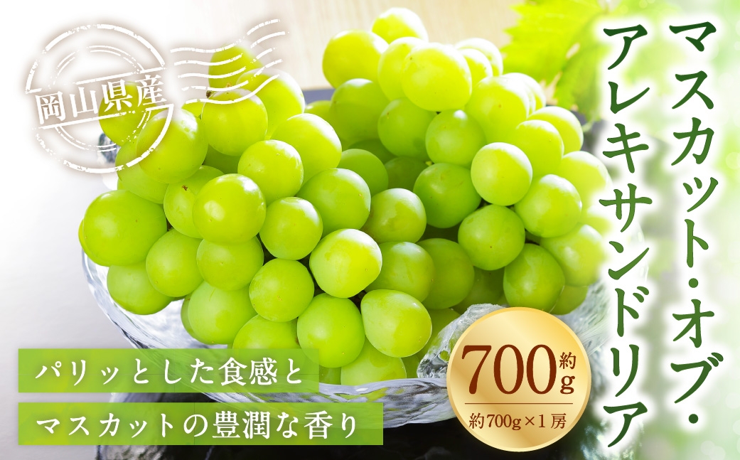 岡山県産 マスカット・オブ・アレキサンドリア 約700g（ 700g×1房 ） ぶどう ブドウ 葡萄 くだもの 果物 果実 フルーツ 国産 マスカット【 2026年8月下旬～9月下旬発送予定 】