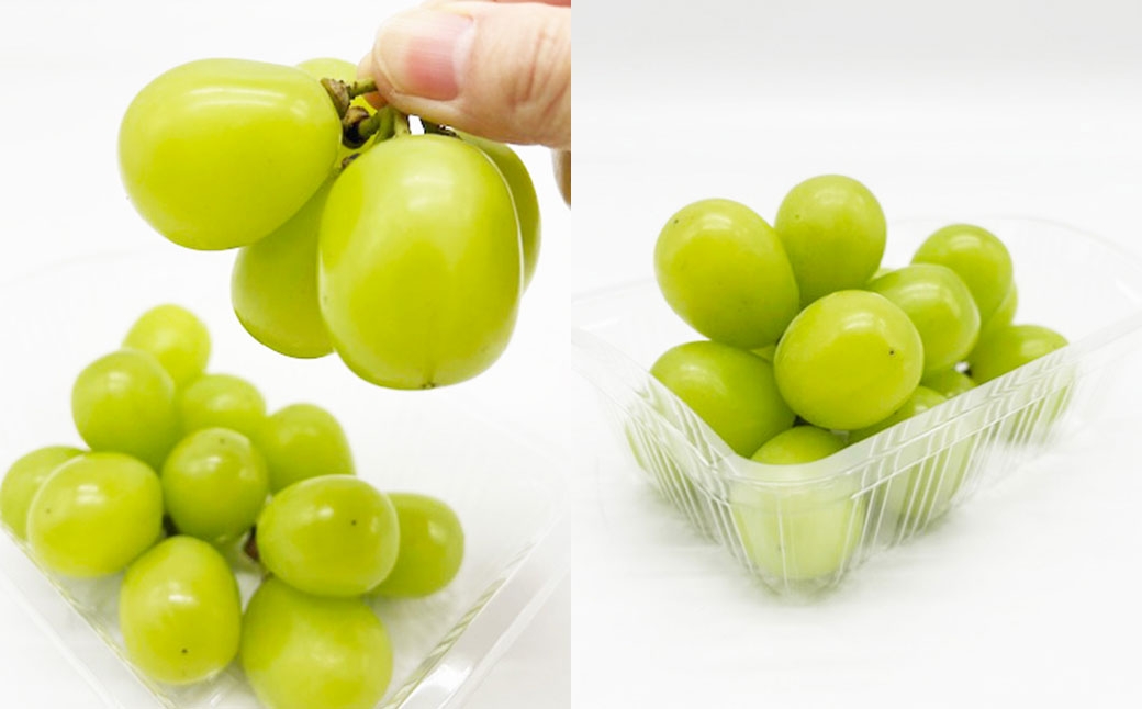 【全6回定期便】 岡山県産 フルーツ定期便 ＜お一人様向け＞ 【2026年7月上旬～12月下旬迄発送予定】 白桃 ピオーネ シャインマスカット あたご梨 瀬戸内 果物 くだもの 果実 フルーツ ぶどう もも ブドウ モモ 葡萄 桃 岡山白桃 ニューピオーネ 晴王 食べ比べ 瀬戸ジャイアンツ 桃太郎ぶどう 紫苑 クインニーナ なし ナシ 梨 化粧箱 贈り物 ギフト プレゼント 定期 定期便