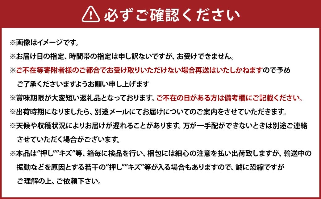 ぶどう 2026年 先行予約 瀬戸ジャイアンツ 3房 合計2kg以上 【2026年9月上旬～9月下旬発送予定】 ／ 桃太郎ぶどう ブドウ 葡萄 皮ごと 岡山県産 国産 フルーツ 果物 ギフト 河本農園 岡山県 美咲町 冷蔵