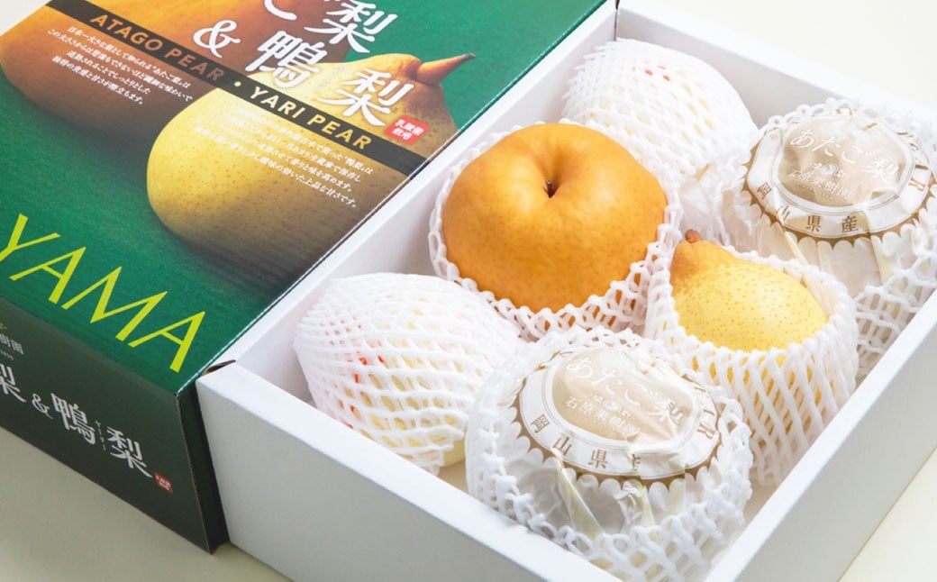 あたご梨 2〜3玉 ・ 鴨梨 （ヤーリー） 3〜6玉 詰合せ 合計約4kg 贈答箱 ／ 愛宕梨 梨 なし ナシ 果物  【2025年11月下旬〜12月下旬発送予定】