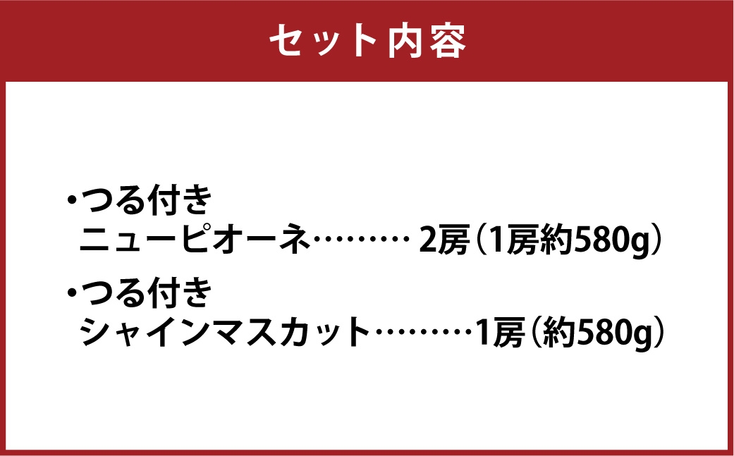 つる付き！ ニューピオーネ ＆ 晴王 シャインマスカット Bセット ハウス栽培 ブドウ ぶどう 葡萄 果物 くだもの フルーツ 果実 マスカット 食べ比べ 【 2026年7月上旬～8月上旬発送予定 】