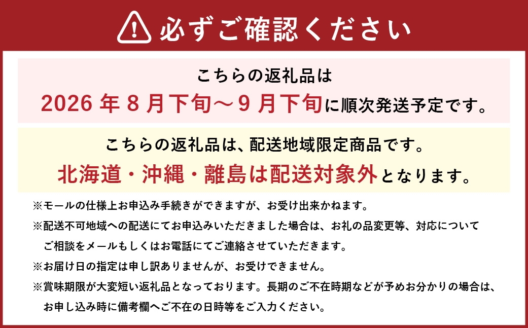 ご家庭用 岡山県産 ニューピオーネ 約1kg （ 500g×2房 ） ぶどう ブドウ 葡萄 くだもの 果物 果実 フルーツ 国産 【 2026年8月下旬～9月下旬発送予定 】