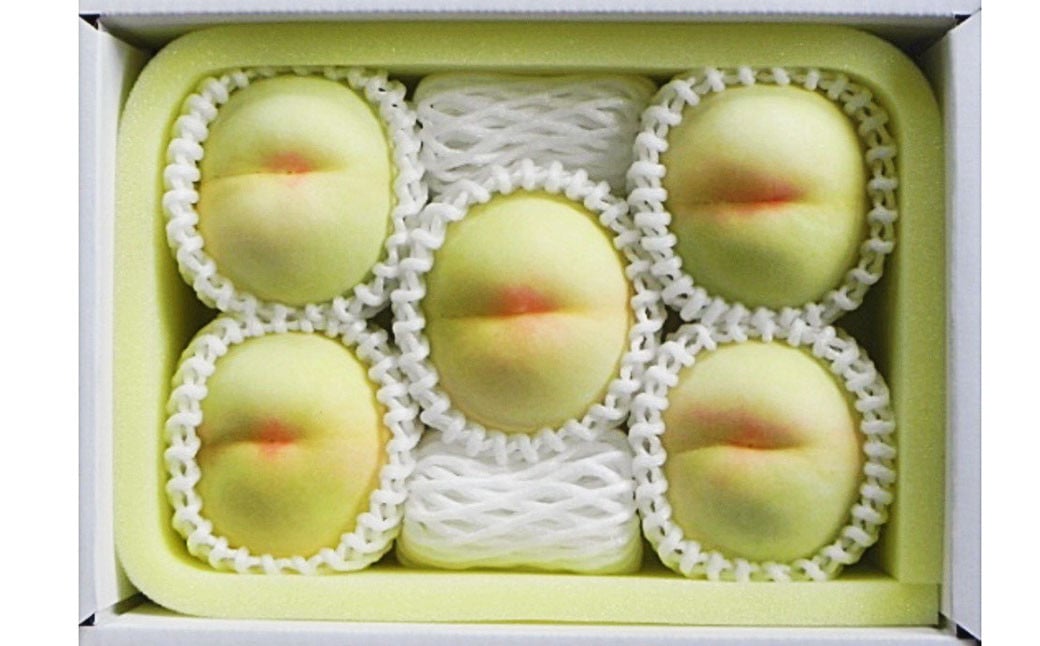 çœæ¡ 5ç ïŒ1.5kg以äžïŒ ççŽ ïŒ ãã€ã€ã« æšç®±å
¥ã ã2026幎7æäžæ¬ïœ8æäžæ¬è¿çºéäºå®ã ïŒ æ¡ ãã ã¢ã¢ ã¯ããšã æç© ãã ãã® ãã«ãŒã æå® ãã¶ãŒã å·èµ