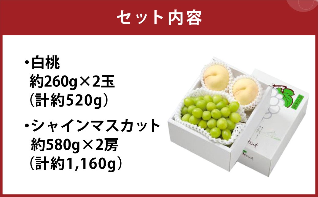 å²¡å±±çœæ¡&ã·ã£ã€ã³ãã¹ã«ãã ã»ãã倧 è©°ãåãã çœæ¡ ã·ã£ã€ã³ãã¹ã«ãã æ¡ ãã ã¢ã¢ ã¶ã©ã è¡è ãã㊠ãã¹ã«ãã èŽãç© èŽç ãã ãã® æç© ãã«ãŒã æå® ã 2026幎7æäžæ¬ïœ8æäžæ¬çºéäºå® ã