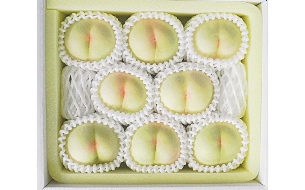 çœæ¡ 8ç ïŒ2kg以äžïŒ ççŽ ïŒ ãã€ã€ã« åç²§ç®±å
¥ã ã2026幎7æäžæ¬ïœ8æäžæ¬è¿çºéäºå®ã ïŒ æ¡ ãã ã¢ã¢ ã¯ããšã æç© ãã ãã® ãã«ãŒã æå® ãã¶ãŒã å·èµ