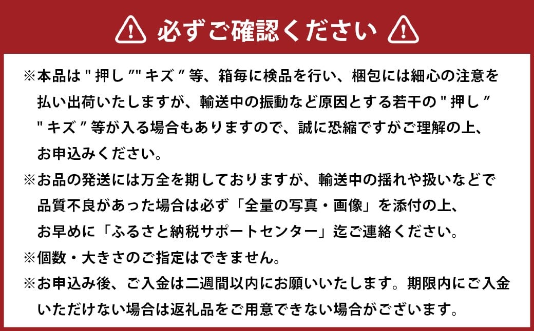 先行予約岡山県産ニューピオーネ 約500g×2房 計約1kg【2026年8月下旬～10月下旬まで順次発送予定】 葡萄 ぶどう ブドウ フルーツ 果物 冷蔵