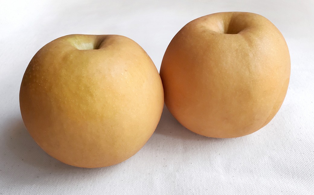 あたご梨 3～6玉 約4kg 【2026年11月下旬～12月下旬迄発送予定】 愛宕梨 梨 なし 和梨 果物 果実 フルーツ 大玉 岡山県 美咲町 常温